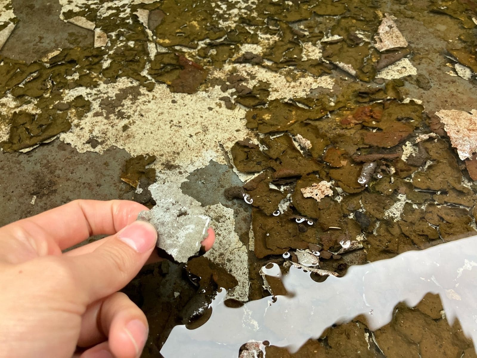 防水剥離