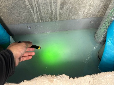 緑の調査液の確認
