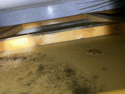 下地面のカビ発生