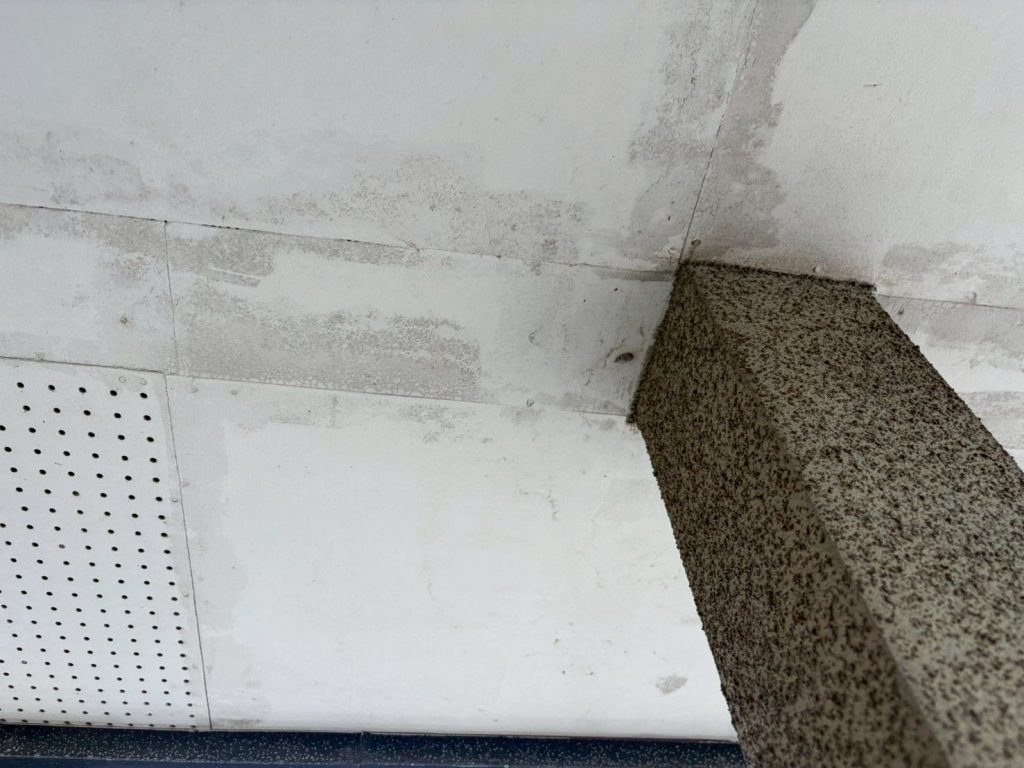 軒天の雨染みと変色
