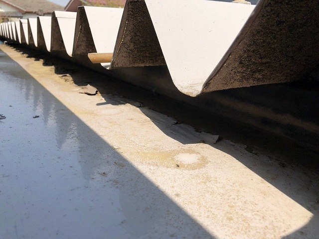 波板下端の劣化と隙間