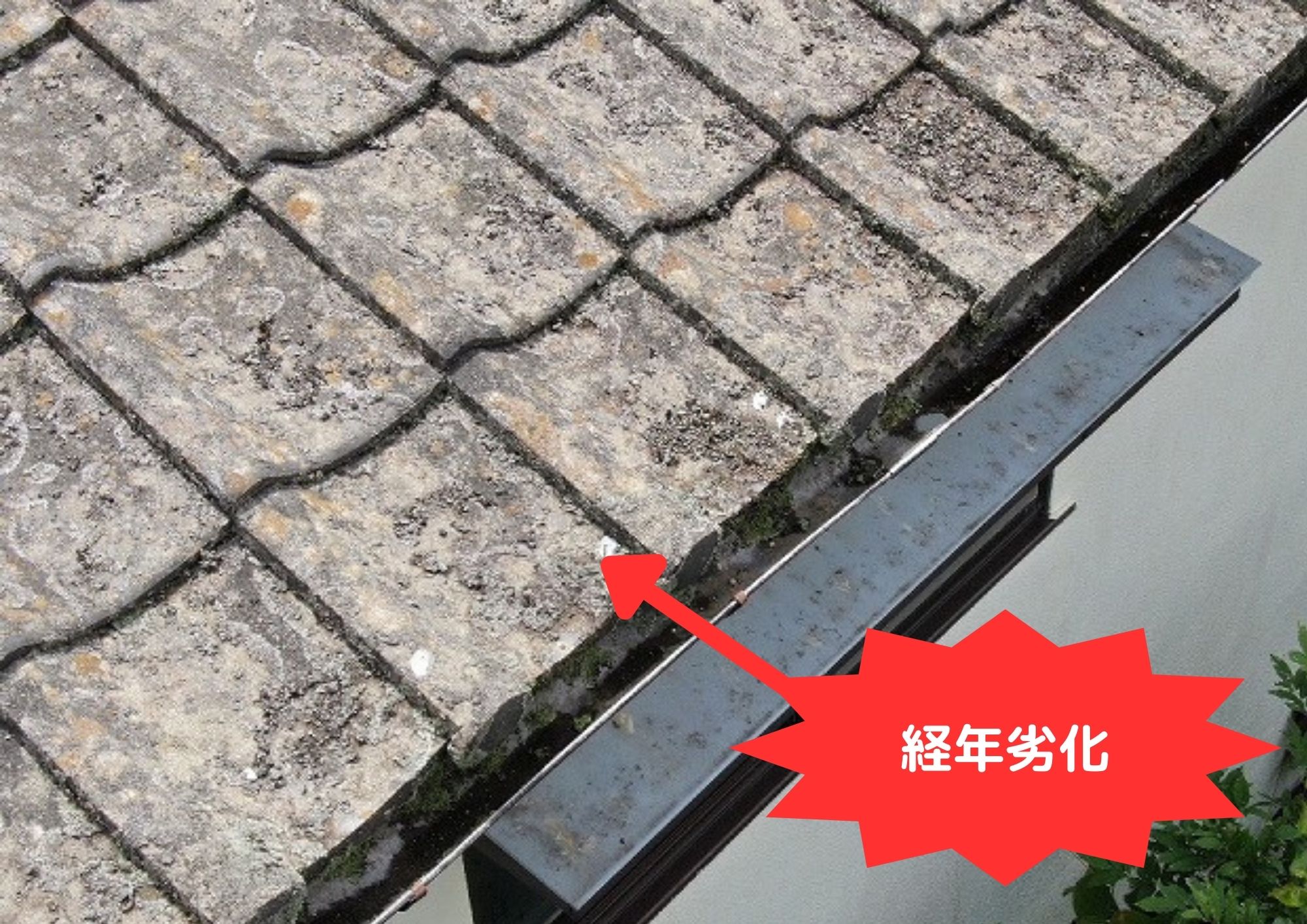 瓦の劣化