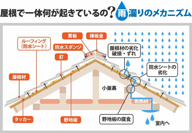 雨漏りのメカニズム