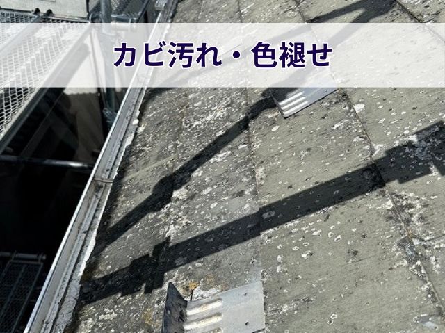 カビ汚れ・色褪せ