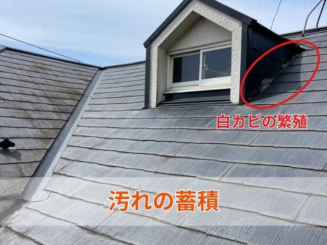 スレートの白カビ