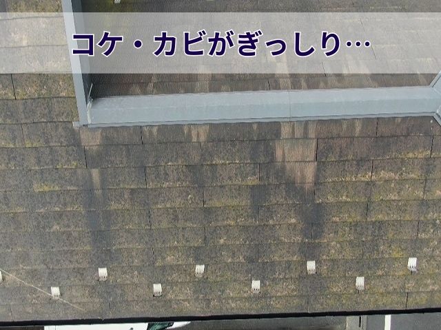 スレート屋根調査コケカビ
