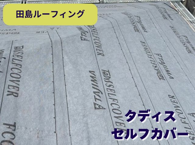 タディス セルフカバー