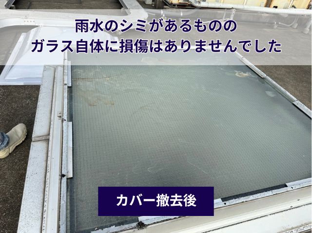 トップライトカバー撤去作業 (2)