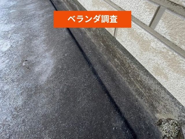 ベランダ調査 (2)