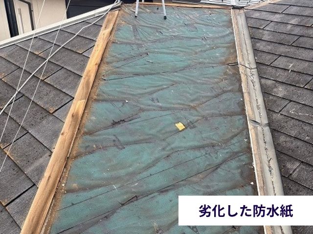 劣化した防水紙