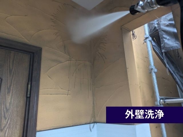 外壁洗浄