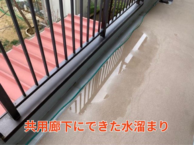 共用外廊下に水溜まり (3)