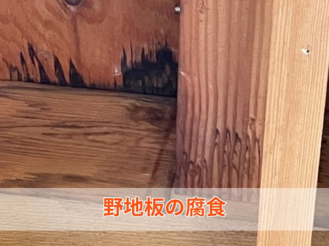 室内雨漏り野地板の腐食 (2)