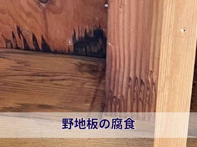 室内雨漏り野地板の腐食