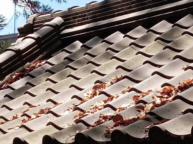 屋根と落ち葉