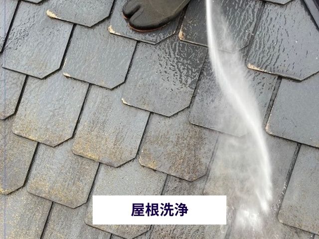 屋根洗浄