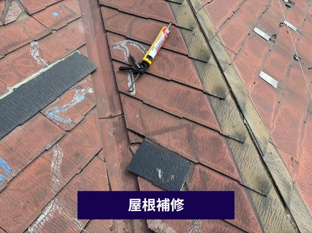 屋根補修