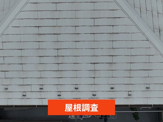 屋根調査
