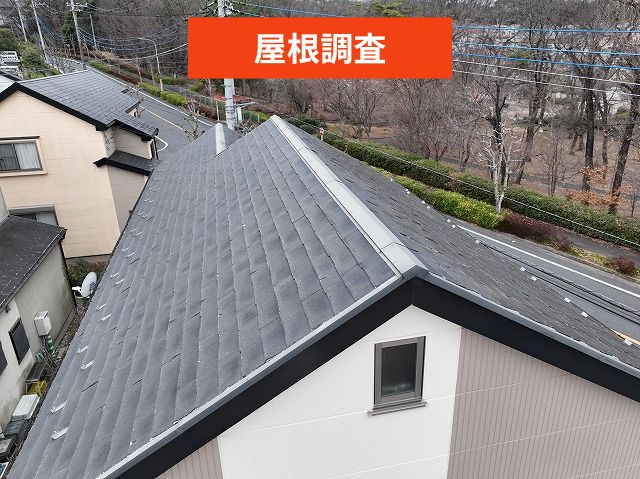 屋根調査