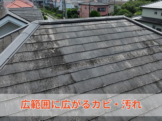 広範囲に広がるカビ・汚れ