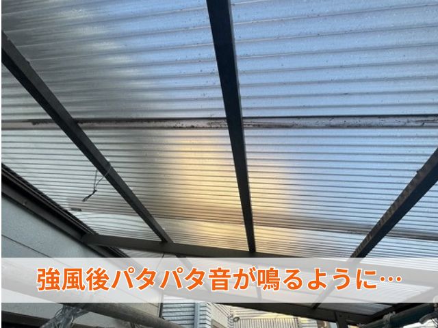 強風後パタパタ音が鳴るように… (2)