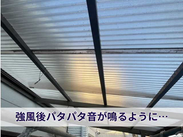 強風後パタパタ音が鳴るように…