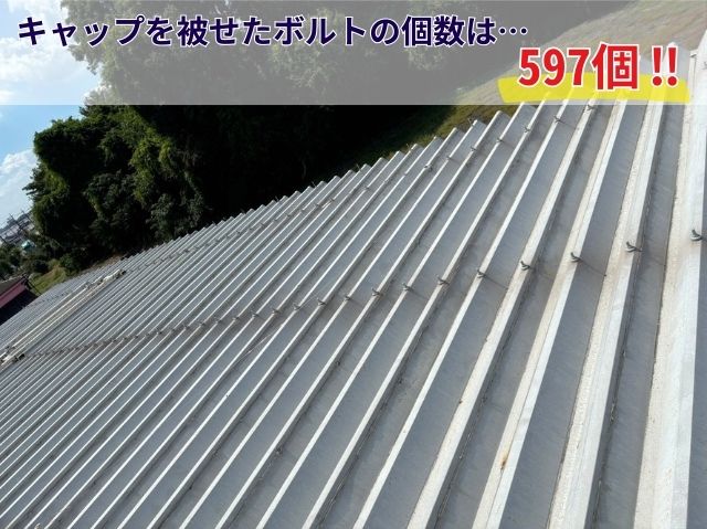 折板屋根　ボルトキャップ