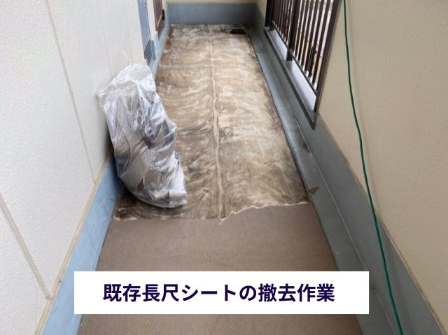 既存床材撤去作業 (3)