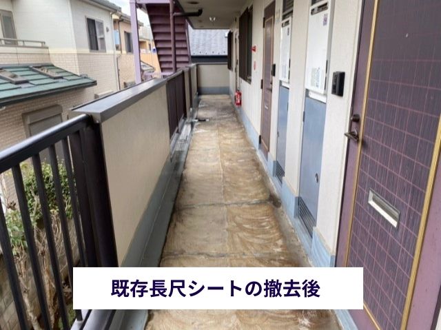 既存床材撤去作業 (4)