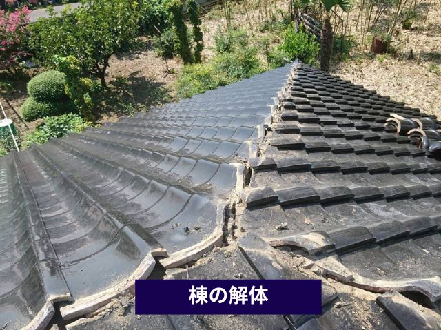 棟の解体