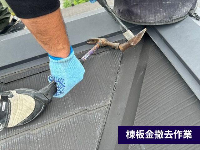 棟板金撤去作業