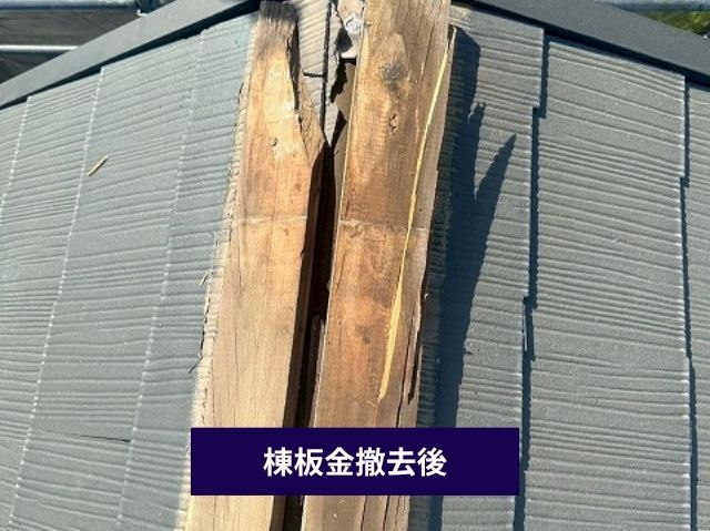 棟板金撤去後