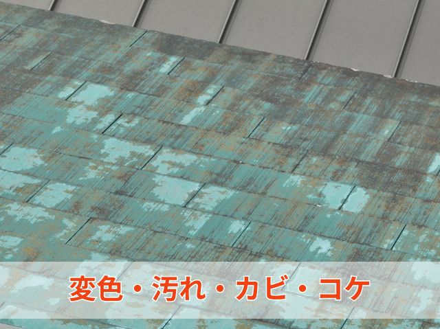 汚れ・カビ・コケ