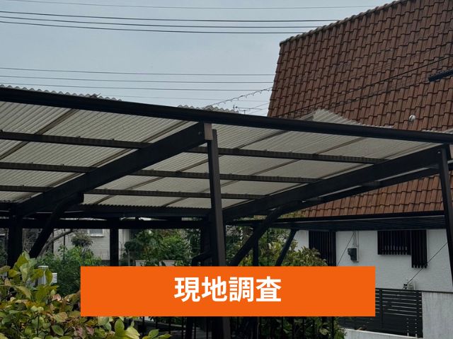 現地調査