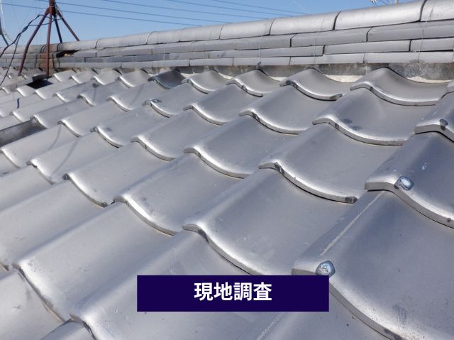 現地調査