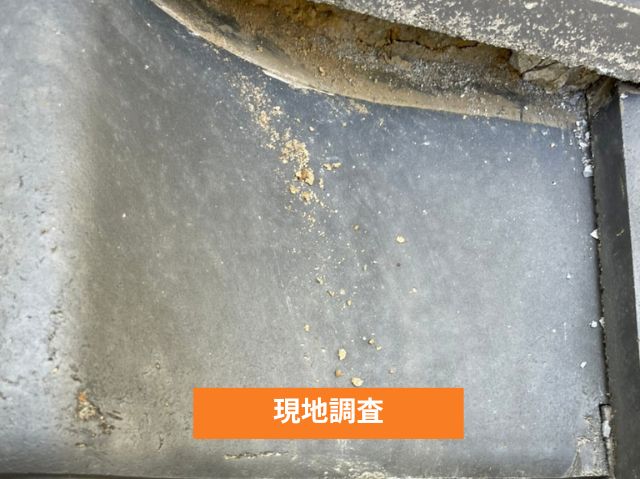 現地調査　面戸漆喰の剥がれ