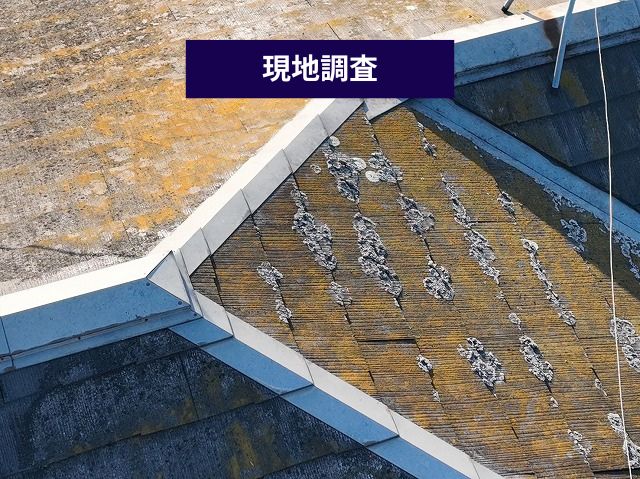 スレート屋根　経年劣化　カビ