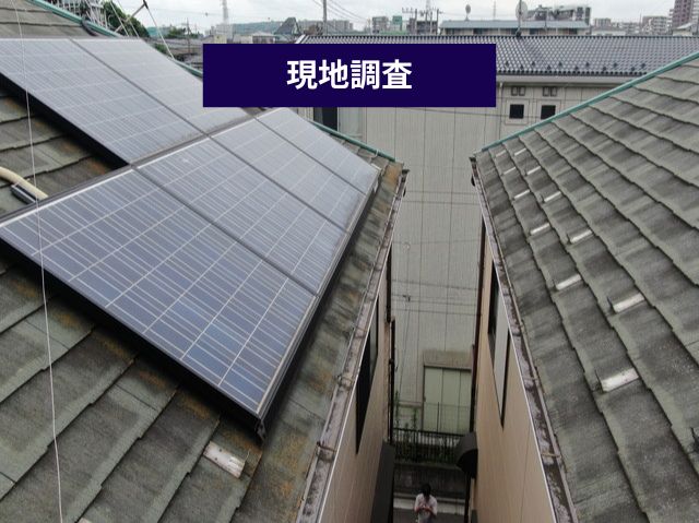 現地調査
