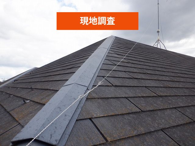 現地調査