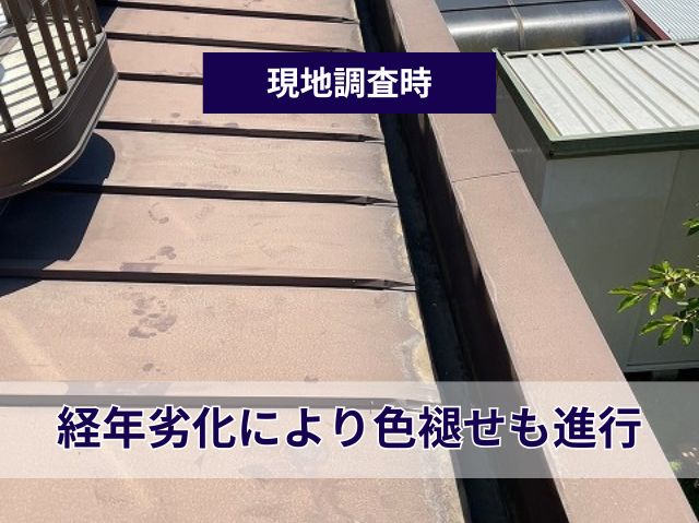 現地調査 屋根 瓦棒葺き金属屋根