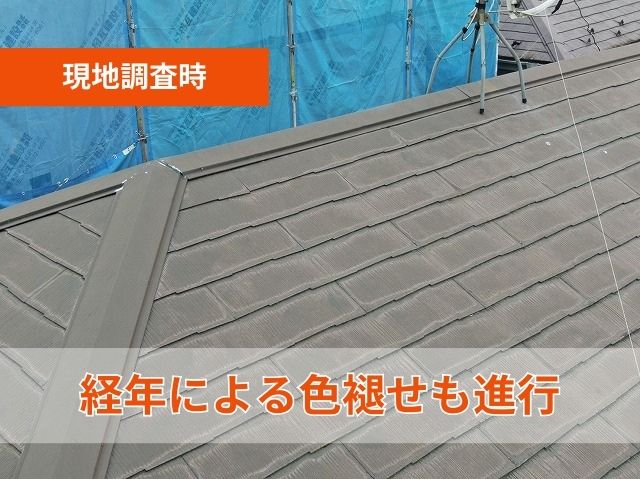 現地調査時色褪せ