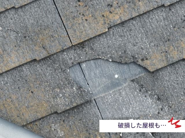 破損した屋根