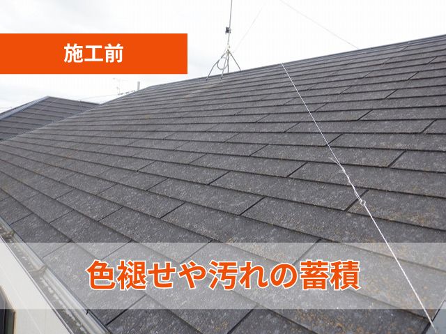 色褪せやカビコケの発生