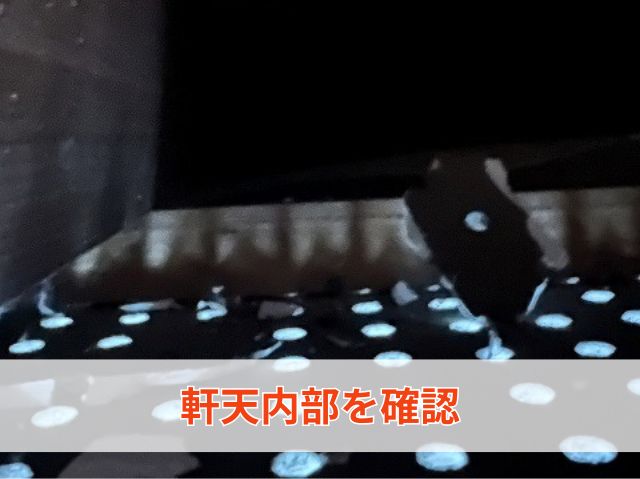 軒天内部を確認