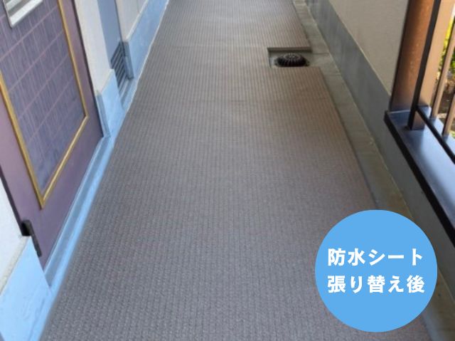 防水シート 張り替え後 (2)