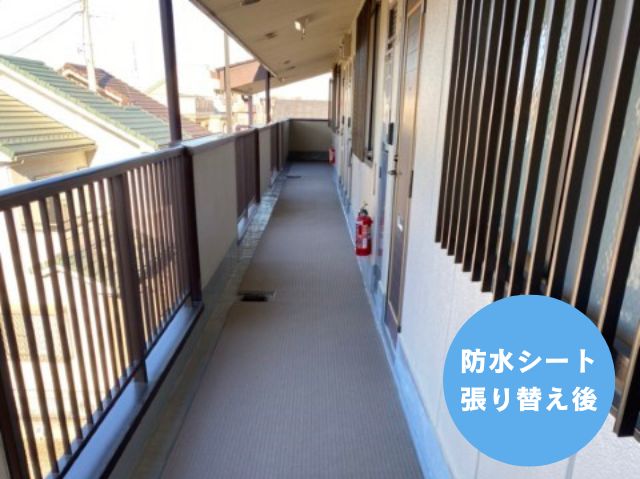 防水シート 張り替え後 (3)