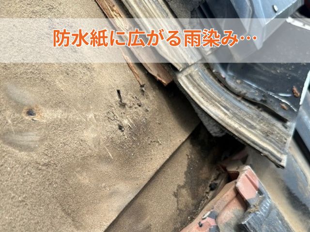 防水紙に広がる雨染み…