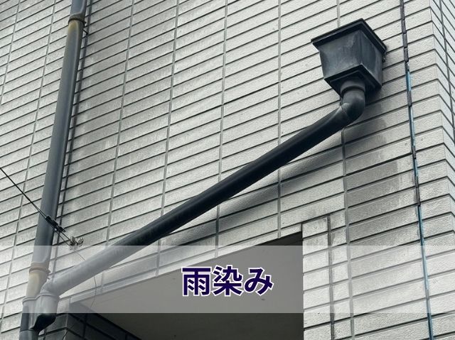 雨染み