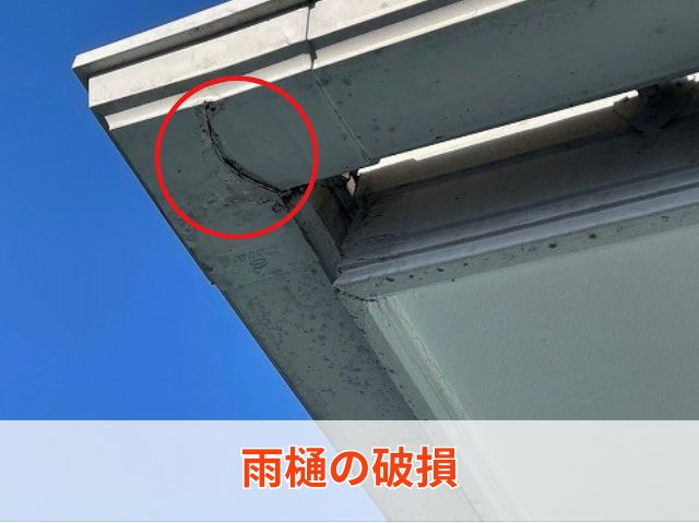 雨樋の破損