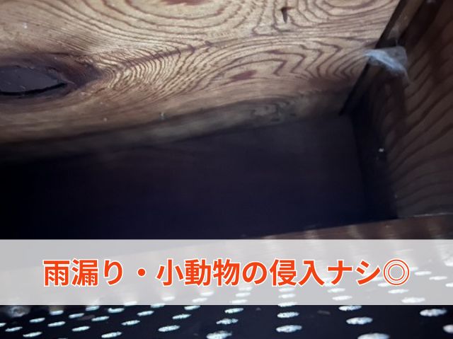雨漏り・小動物の侵入ナシ◎
